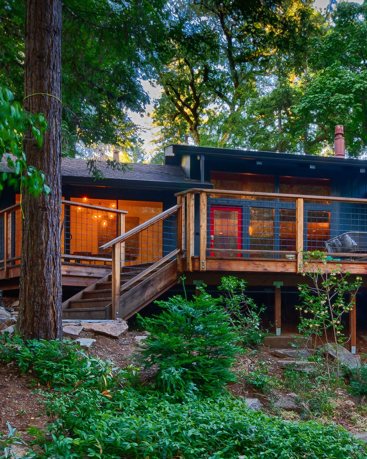The dark Cosmico cabin lit warmly beneath the redwood canopy at dusk, its red door glowing