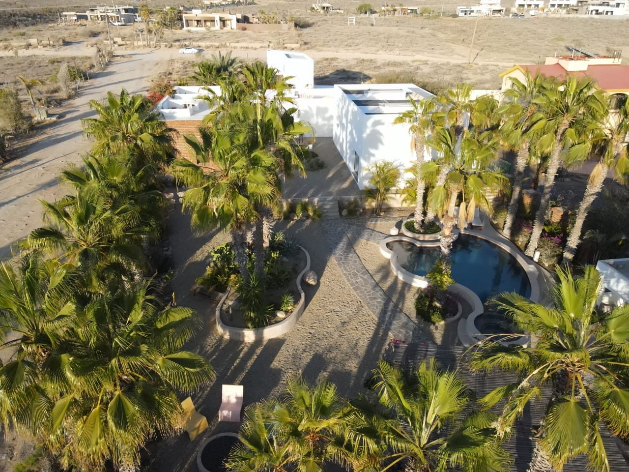 The Casa del Arte compound from above — pool, courtyards and gardens among the palms